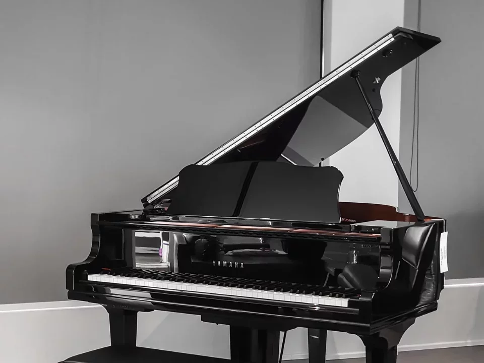 YAMAHA GC2 PE - Hình ảnh chính