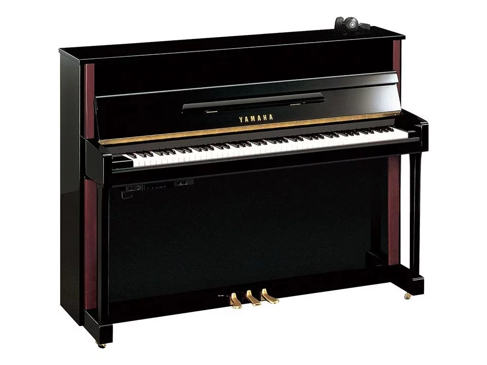 YAMAHA JX113T SC2 - Hình ảnh chính