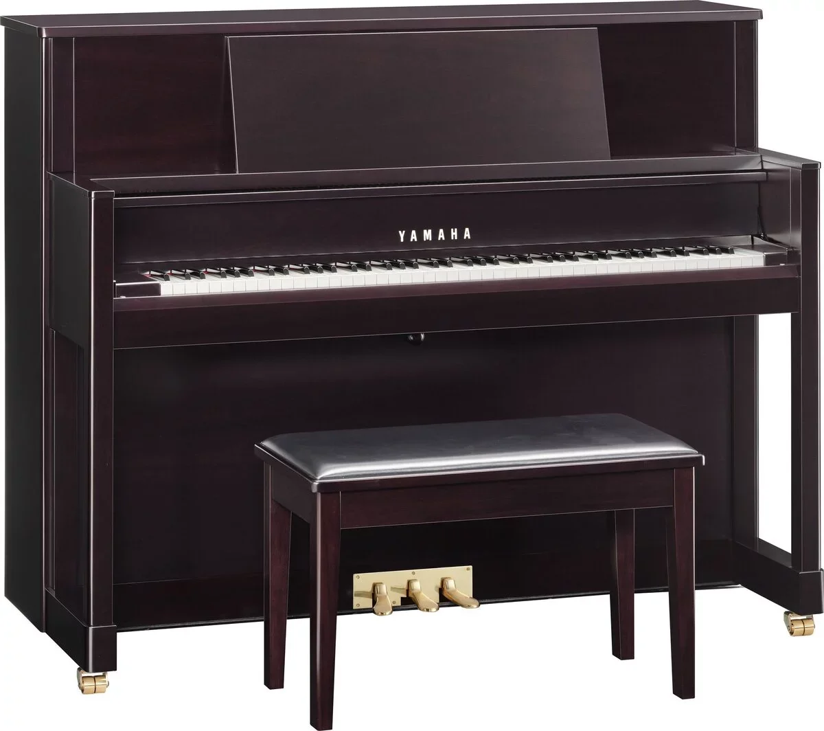 YAMAHA M5 SBW - Hình ảnh chính