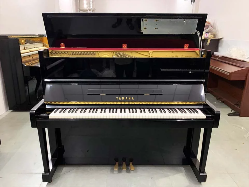 YAMAHA SX101RBL - Hình ảnh chính