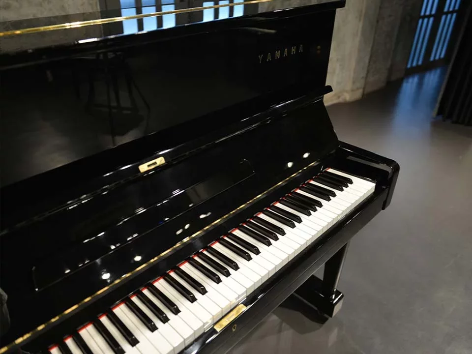 YAMAHA U1D - Chi tiết 1