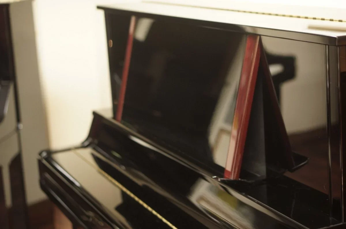 YAMAHA UX300 - Chi tiết 1
