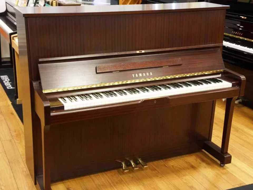 YAMAHA W120BS - Hình ảnh chính