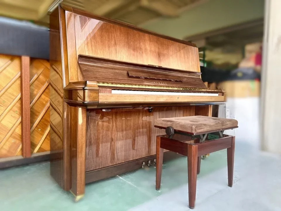 YAMAHA W202 Wn - Hình ảnh chính