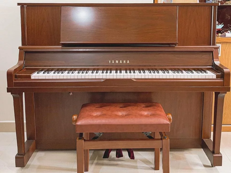 YAMAHA WX1A Wn - Hình ảnh chính