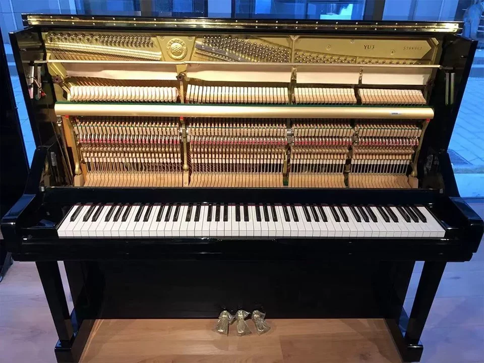 YAMAHA YU3 - Hình ảnh chính