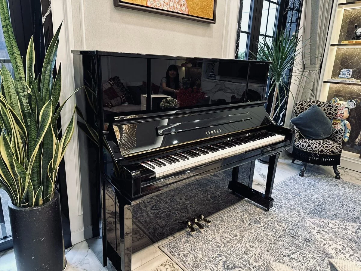 YAMAHA YU30SEB - Hình ảnh chính