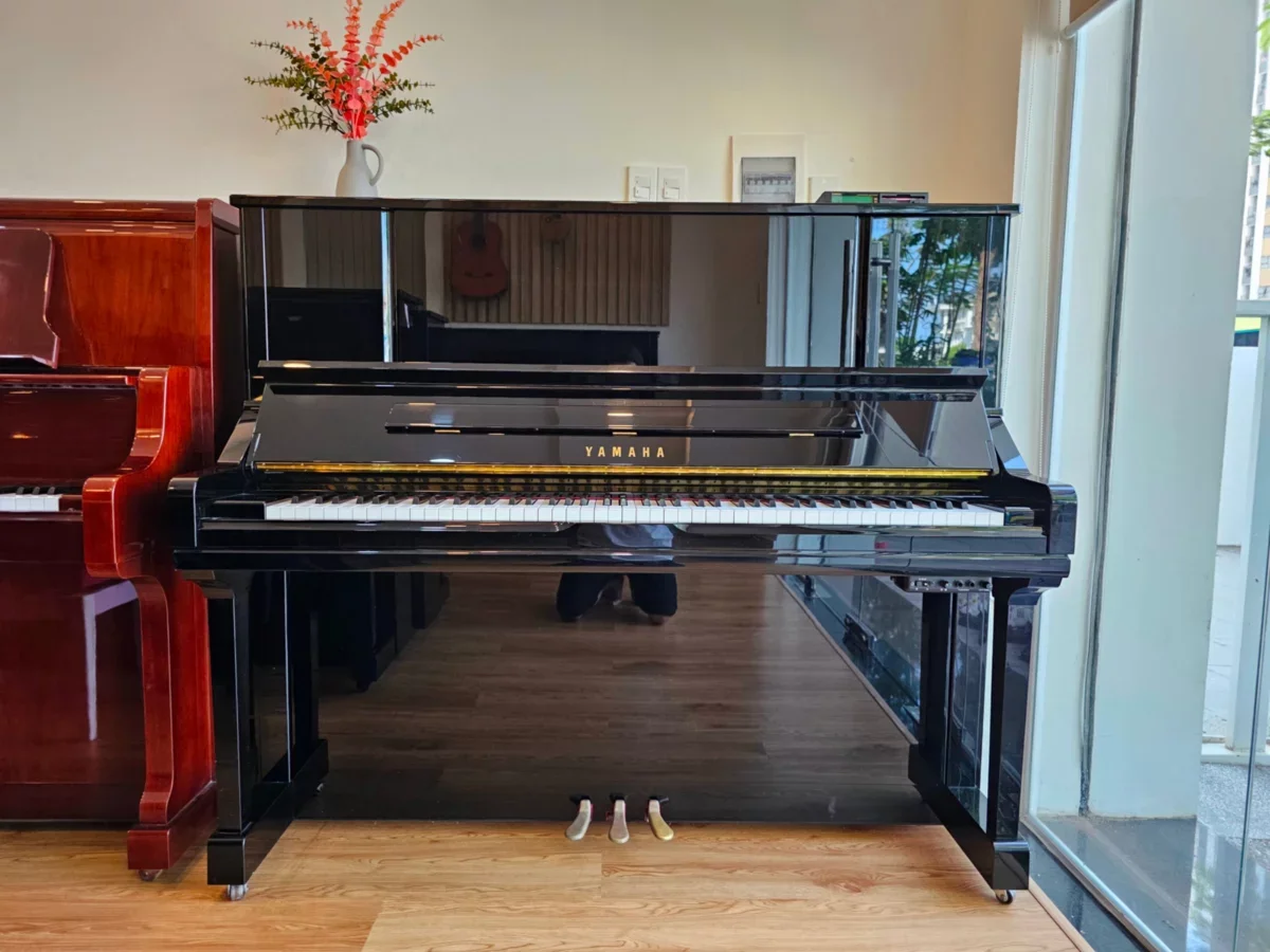 YAMAHA YU33 - Hình ảnh chính