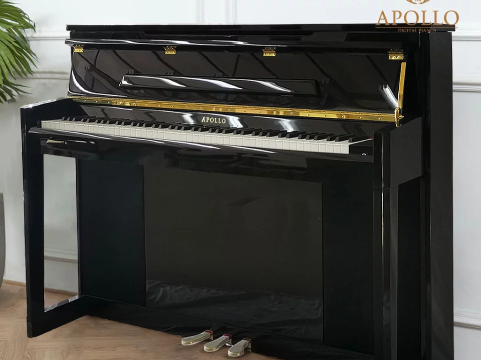 Apollo A1 - Đàn Piano Apollo tại Elite Piano
