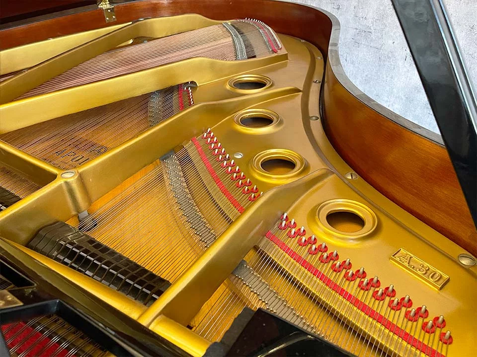 Review APOLLO A30 MH – Hình ảnh thực tế tại showroom Elite Piano