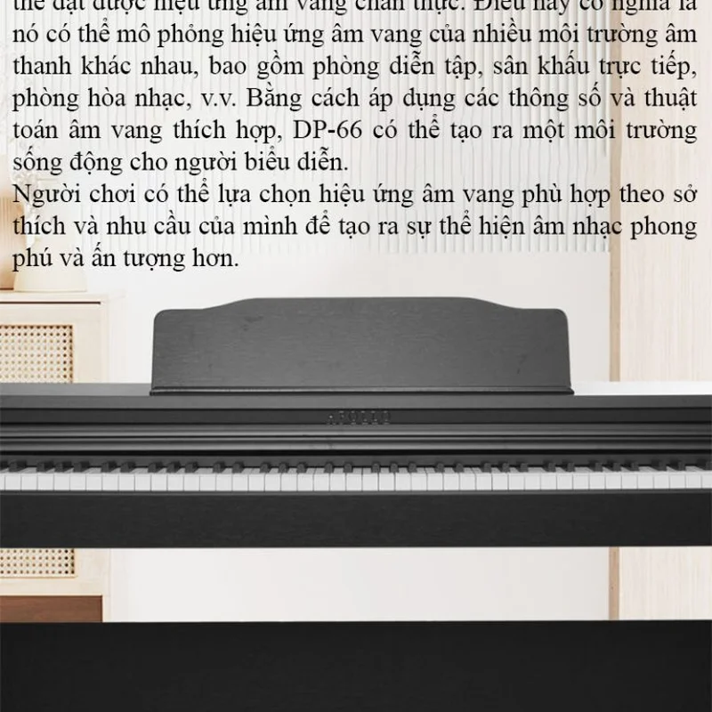 Đàn piano Apollo Apollo DP-66 (WH) – Chi tiết bàn phím