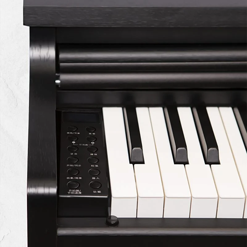 Review Apollo DP-66 (WH) – Hình ảnh thực tế tại showroom Elite Piano