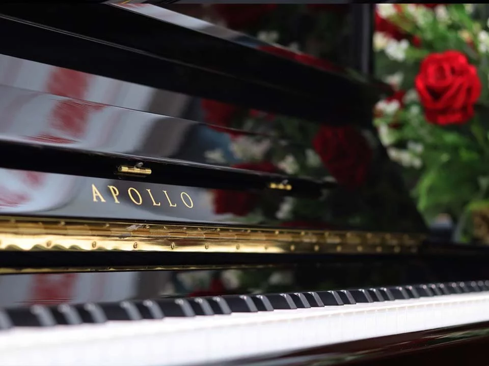 Review APOLLO TAV-118 – Hình ảnh thực tế tại showroom Elite Piano