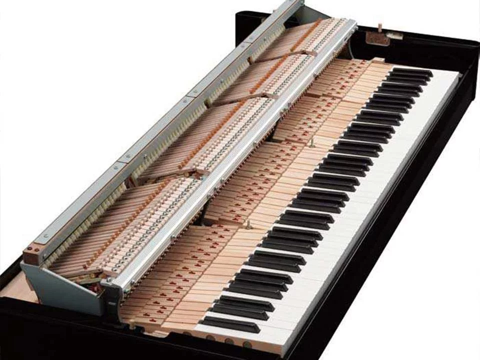Yamaha Avant Grand N1 Used