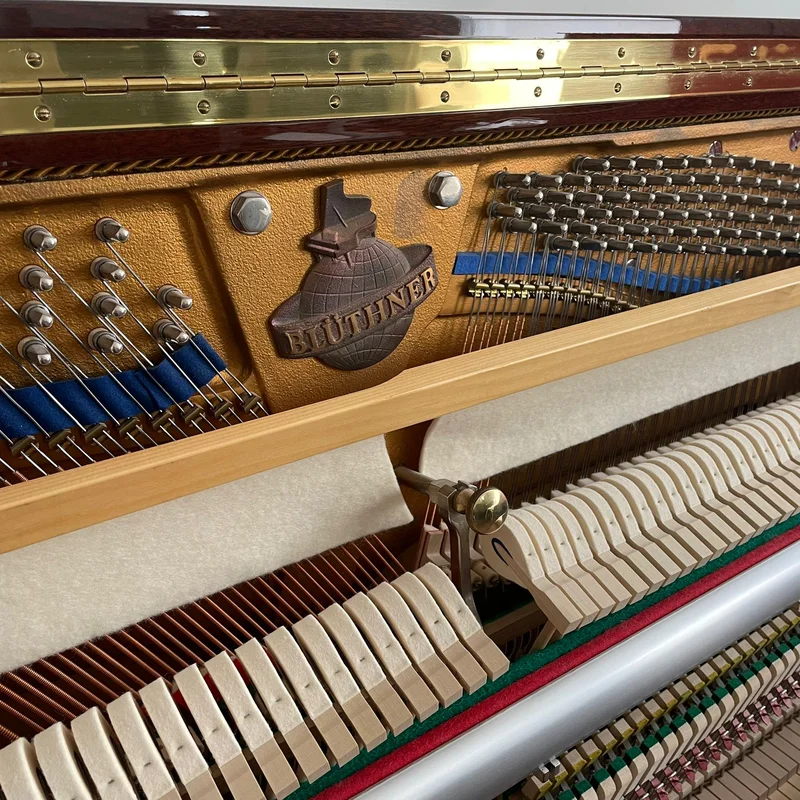 Blüthner Model B