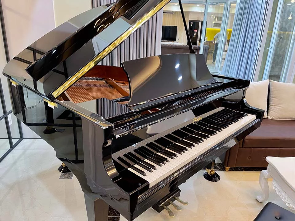Review Boston GP-156 PE II – Hình ảnh thực tế tại showroom Elite Piano