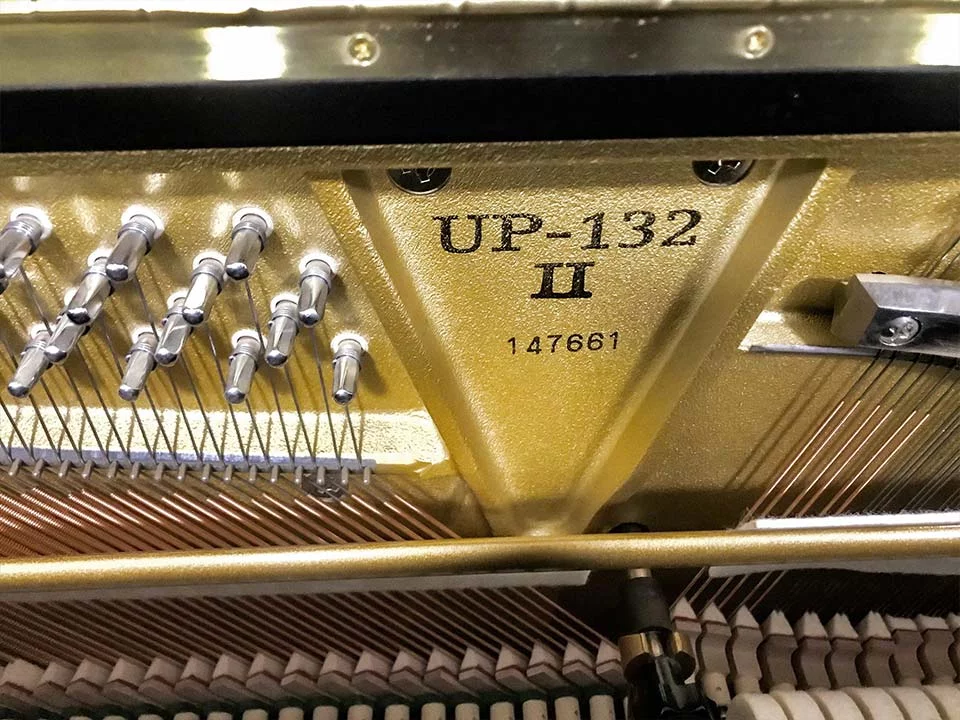 Review Boston UP-118E PE – Hình ảnh thực tế tại showroom Elite Piano