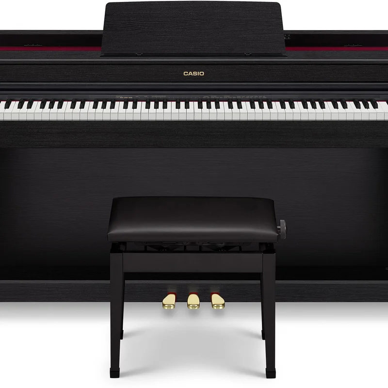 Casio AP-470 (USED)