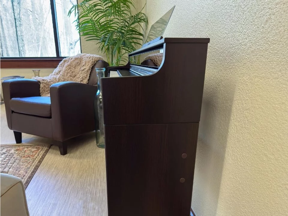 Casio AP-S450 Rosewood (R) – Mặt sau và hệ thống dây đàn Casio