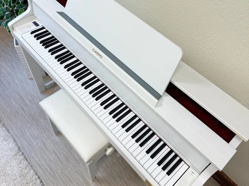 CASIO GP-310 WE