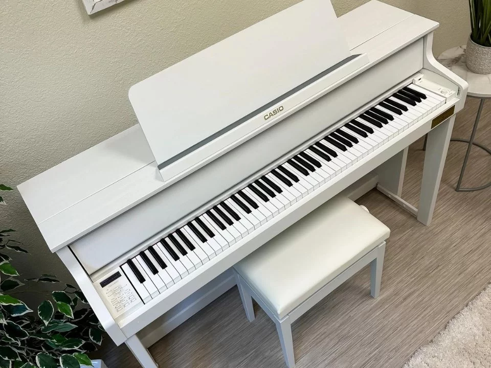 CASIO GP-310 WE