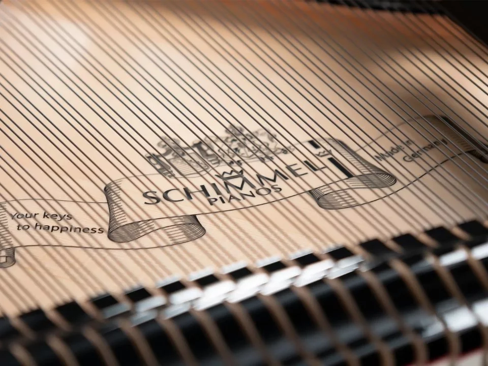 Schimmel Classic C169 The Black Pearl