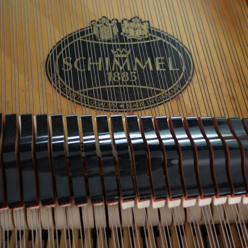 Review Schimmel Classic C169 Tradition – Hình ảnh thực tế tại showroom Elite Piano