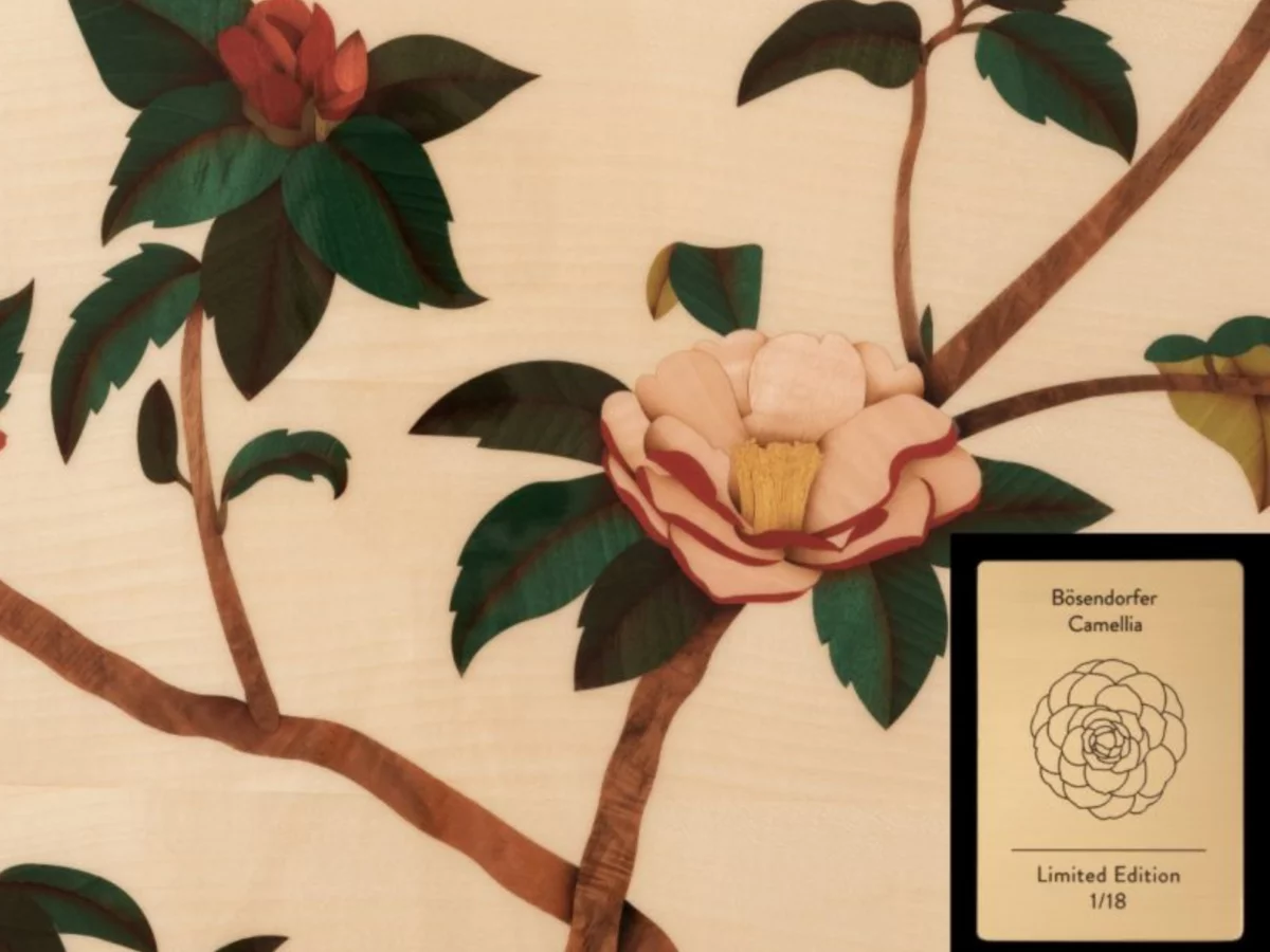 Camelia