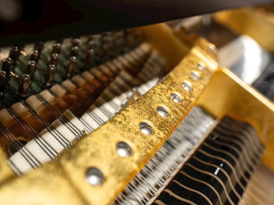 Bösendorfer Secession