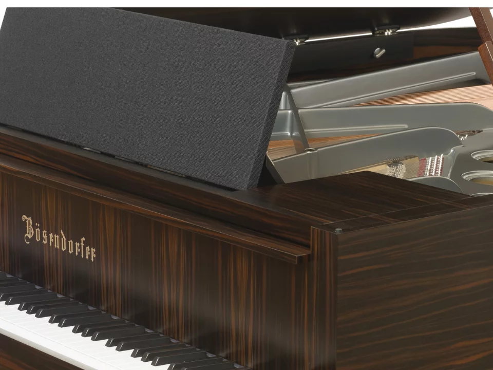 Đàn piano Bosendorfer Egde – Chi tiết bàn phím
