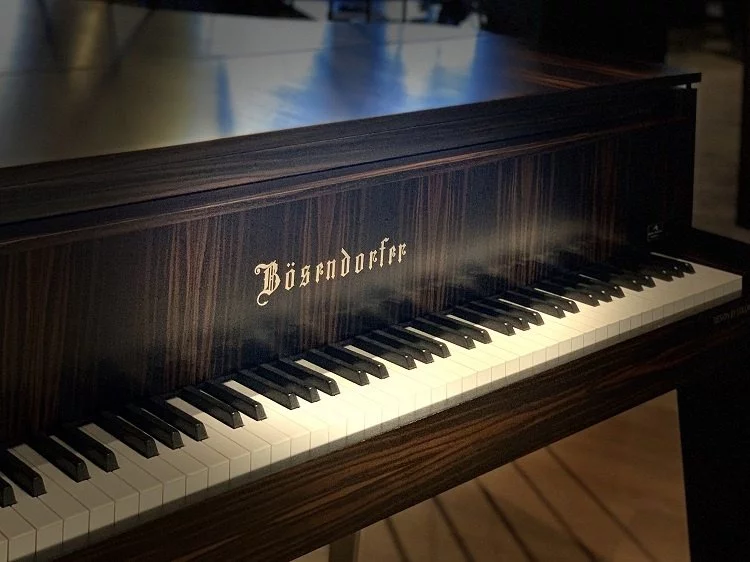 Egde tại Elite Piano TP.HCM – Không gian trưng bày