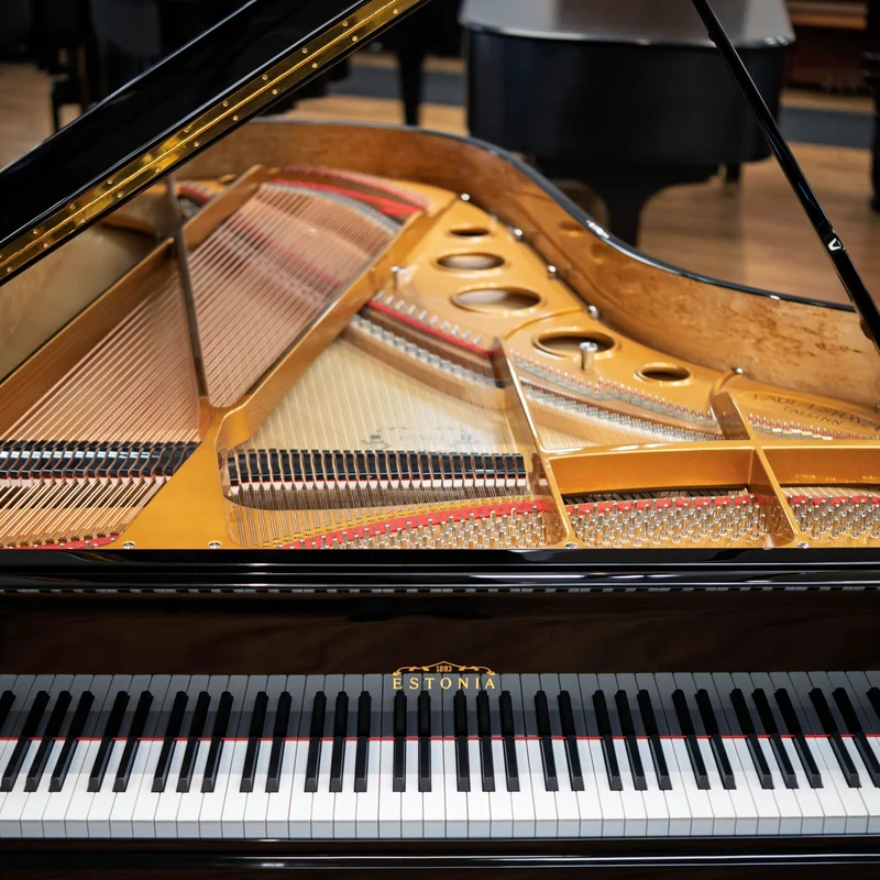 Estonia L225 Polish Ebony tại showroom Elite Piano