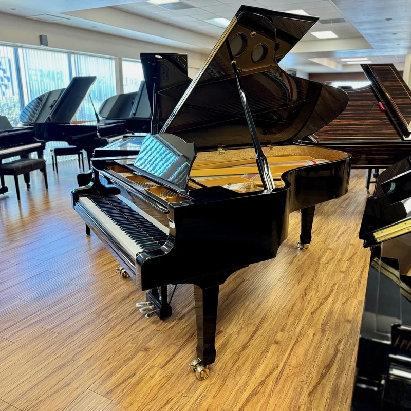 Review Estonia L225 Polish Ebony – Hình ảnh thực tế tại showroom Elite Piano