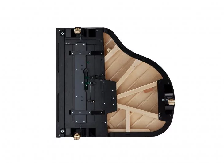 Fazioli F156 - Baby Grand – Mặt sau và hệ thống dây đàn Fazioli