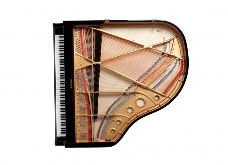 Fazioli F156 - Baby Grand tại Elite Piano TP.HCM – Không gian trưng bày