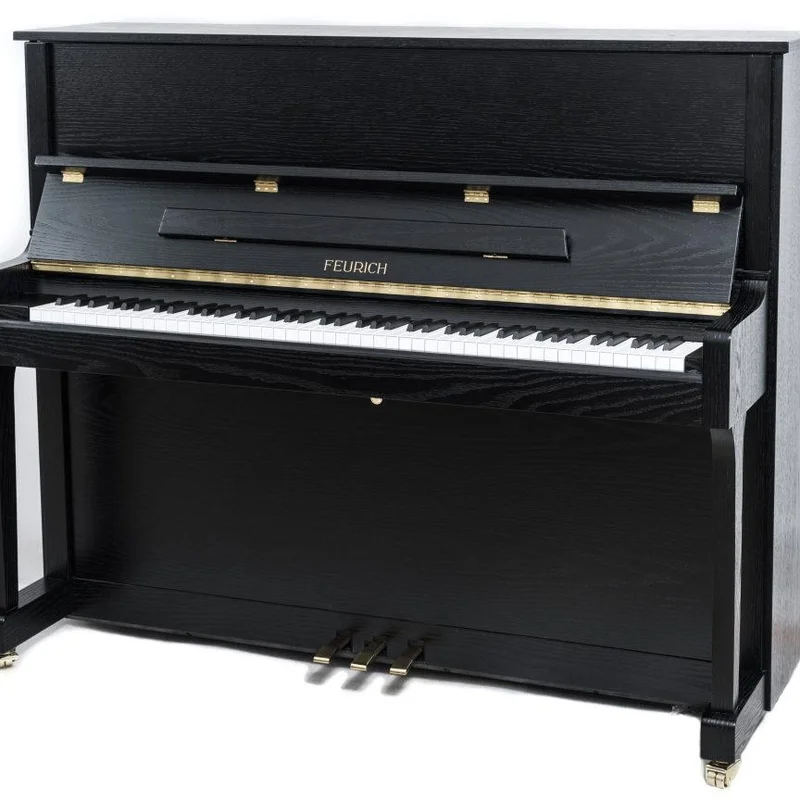 FEURICH 122 Universal (Black Polished - Chrome)