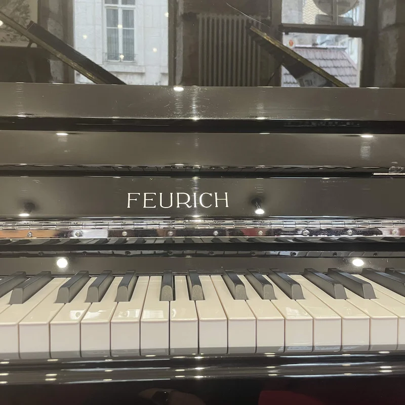 FEURICH 122 Universal (Bordeaux satin)