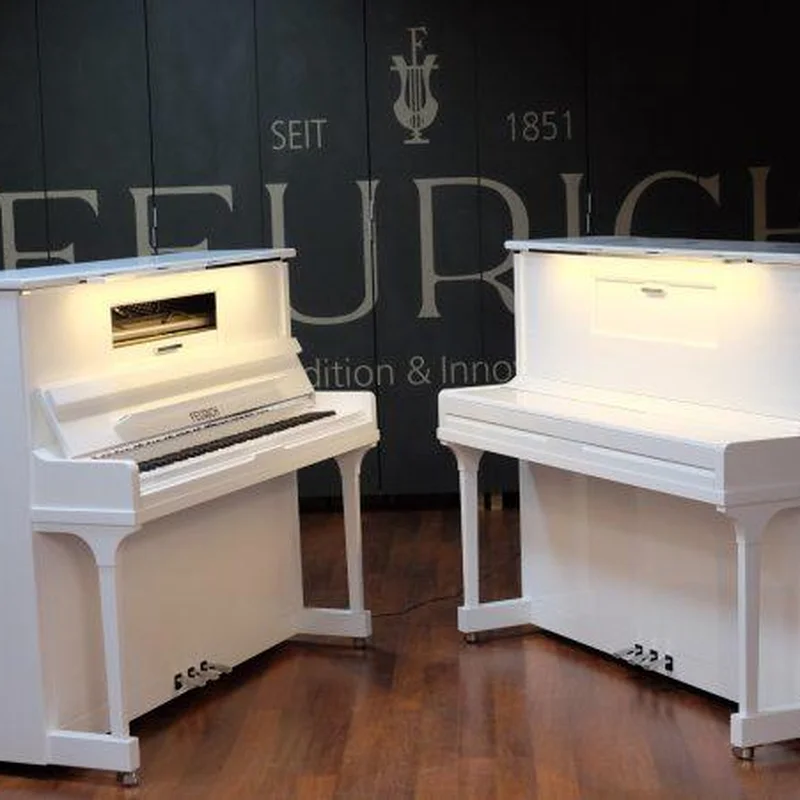 FEURICH 123 Vienna Modern (Made in Austria) - Special Edition – Toàn cảnh thiết kế tại Elite Piano