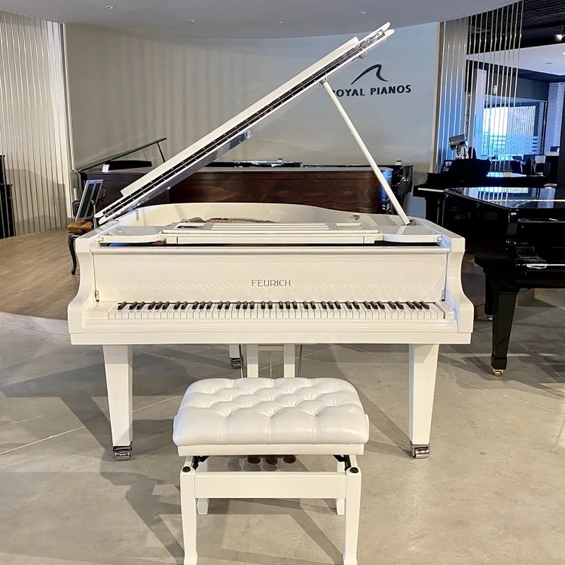 Đàn piano Feurich FEURICH 162 -