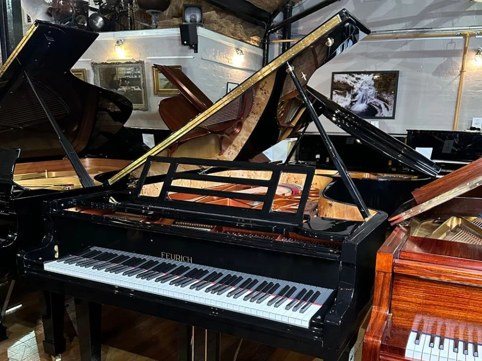 Đàn piano Feurich FEURICH 218 -