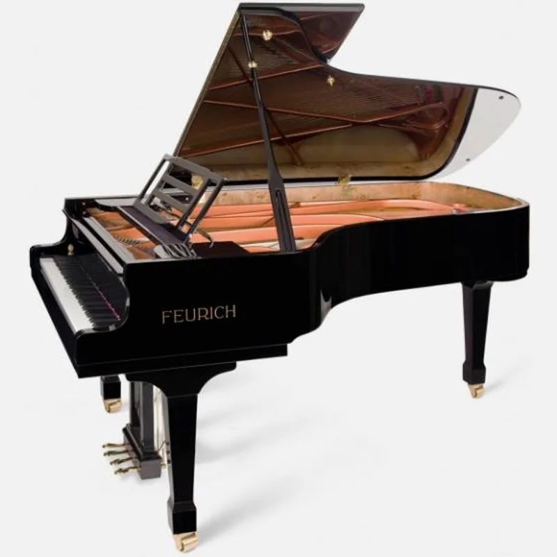 FEURICH 218 -