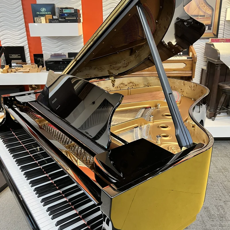 Chi tiết nội thất Friedrich Grotrian FG170
