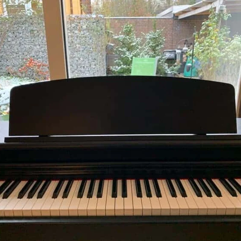 Review Gewa UP355 – Hình ảnh thực tế tại showroom Elite Piano
