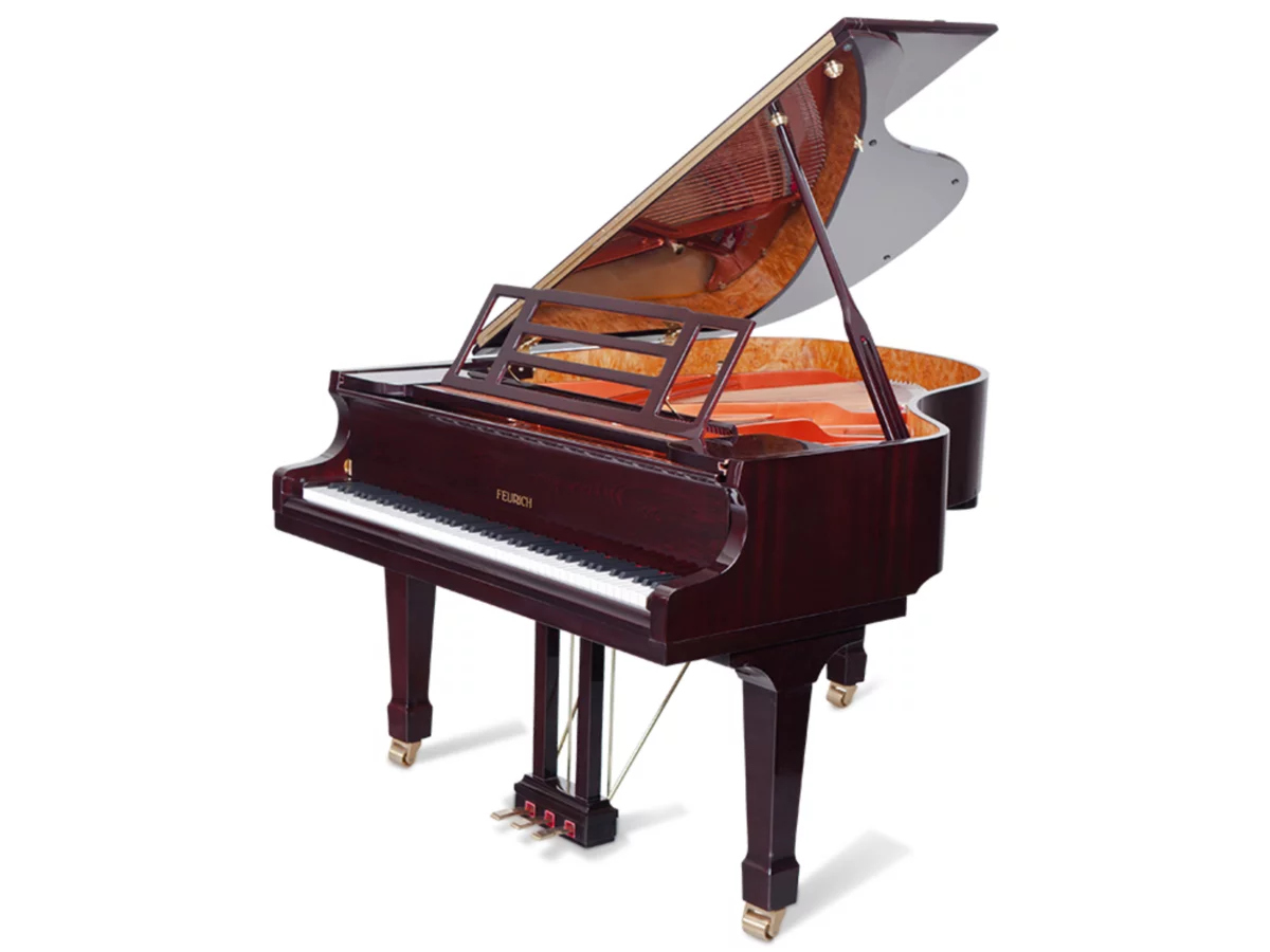 FEURICH 179 & DYNAMIC II (Black Polish & Brass)