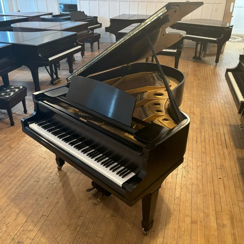 YAMAHA G5