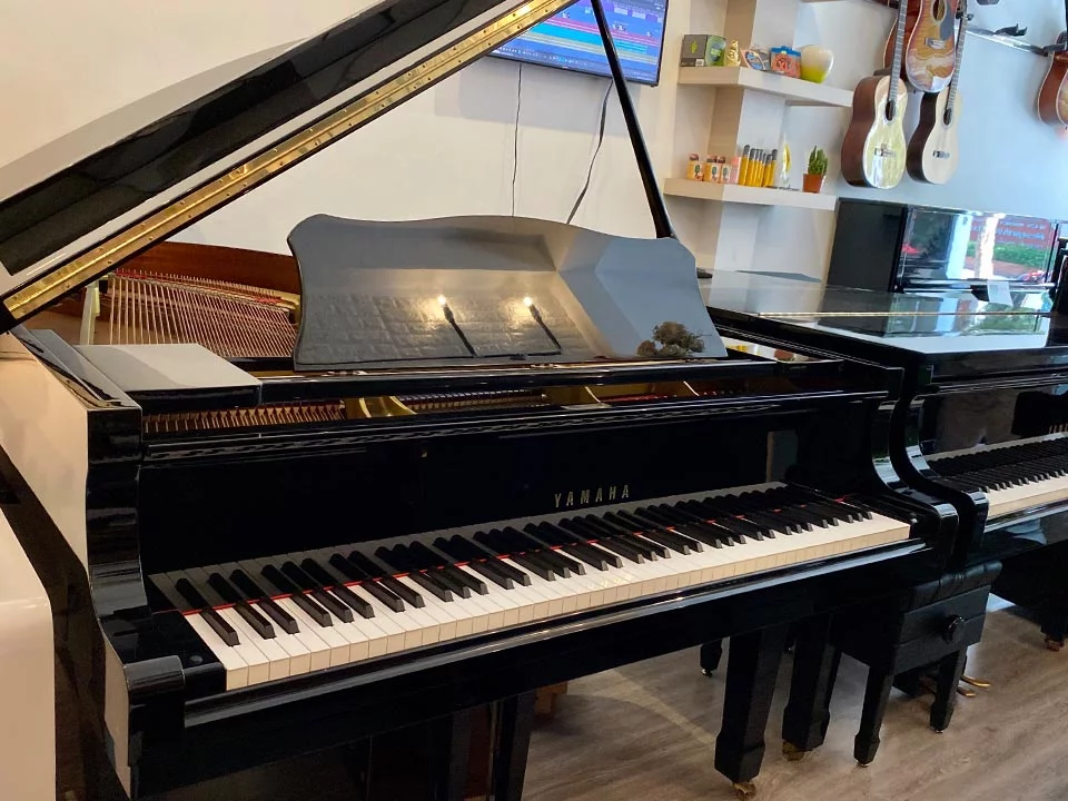 YAMAHA G5B (Seri 4.7) – Mặt sau và hệ thống dây đàn Yamaha