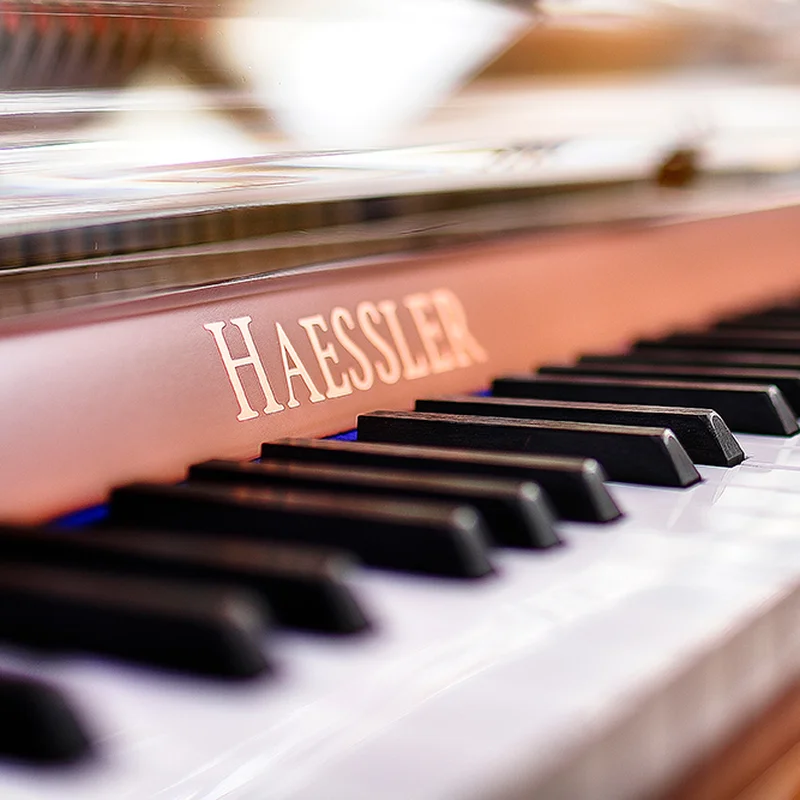 Review Haessler H124 (Designed by Blüthner) – Hình ảnh thực tế tại showroom Elite Piano