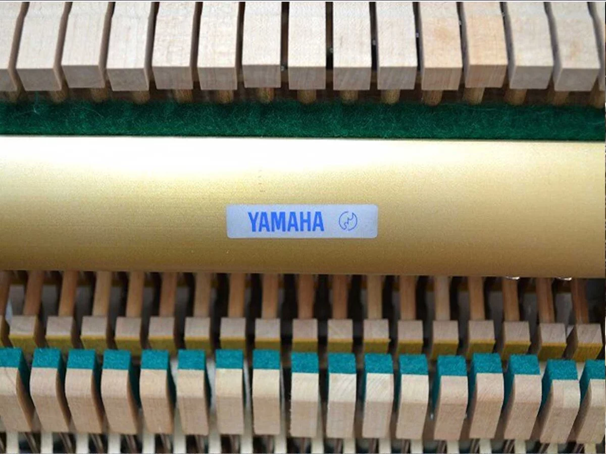 KAISER K35A – Toàn cảnh thiết kế tại Elite Piano