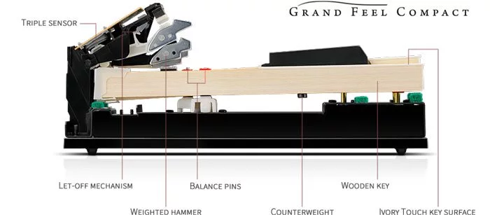 Review KAWAI CA67 R – Hình ảnh thực tế tại showroom Elite Piano