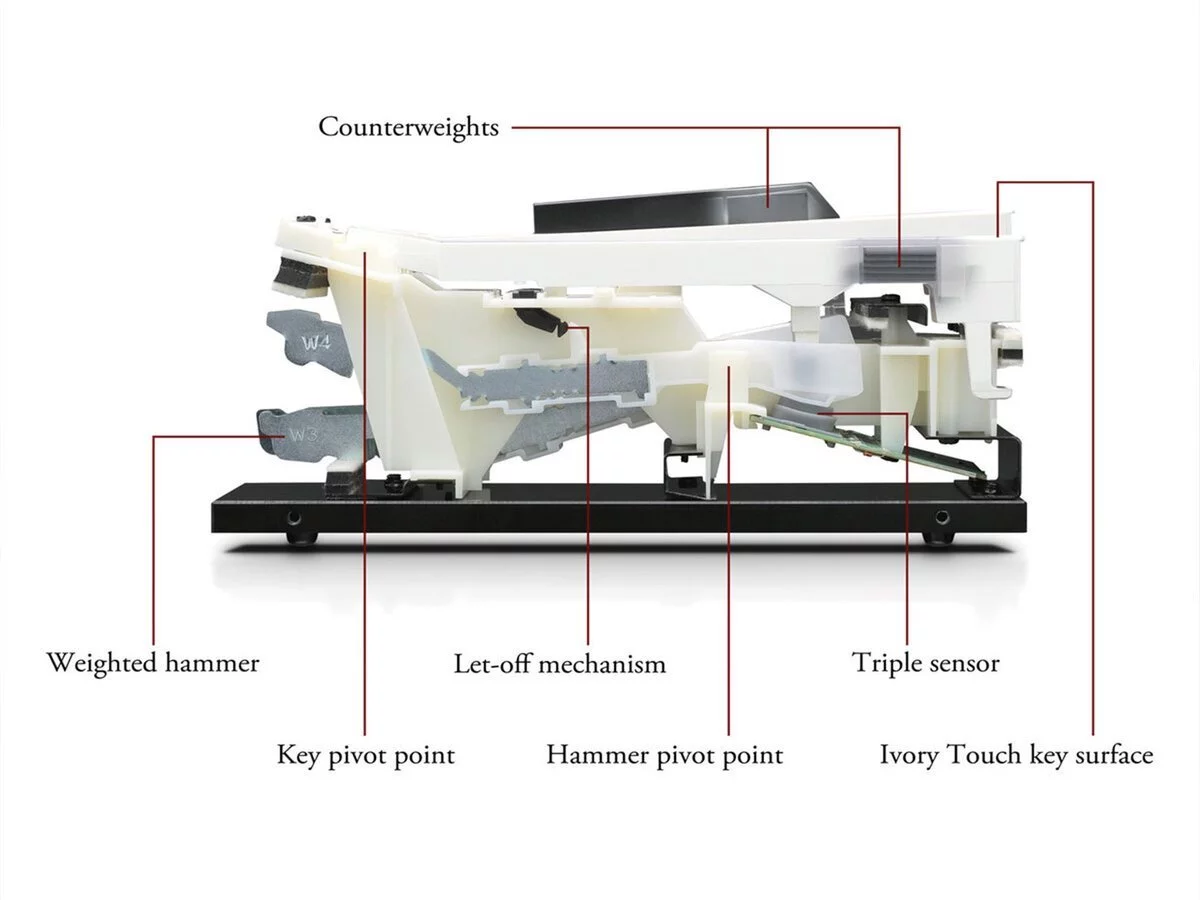 KAWAI CN23 C tại showroom Elite Piano